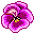 blume blume