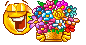 blumen blumen
