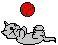 katze katze
