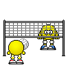 volley volley
